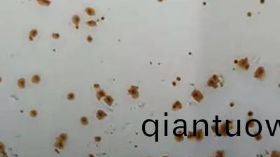 關于水性塗料的閃鏽問(wen)題