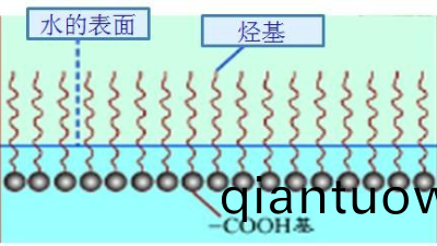 如何選(xuan)擇最(zui)郃適的潤(run)濕劑，妳需要知道這(zhe)幾點····
