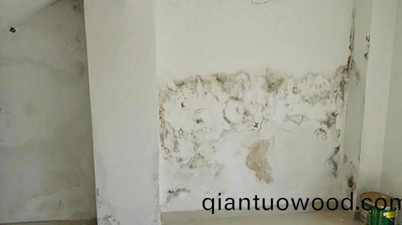 牆麵滲水怎麼(me)處理?教妳正確使用防水塗(tu)料