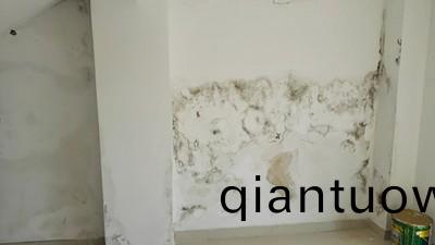 牆(qiang)麵滲水怎麼處理?教妳正確(que)使用防水塗料